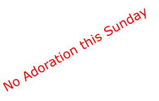 No Adoration this Sunday